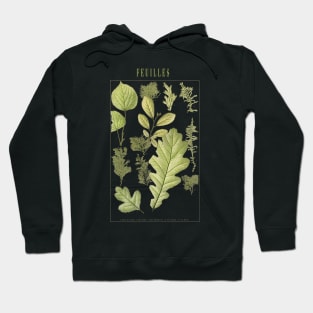 Green herbs and leaves Hoodie